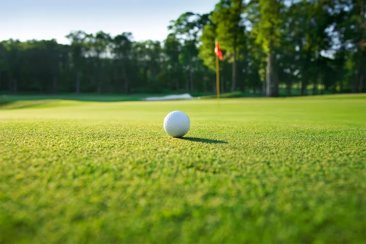 Close-up of a golf ball on a particularly green fairway during a golf vacation at the Rugard Thermal Strandhotel on Rügen.