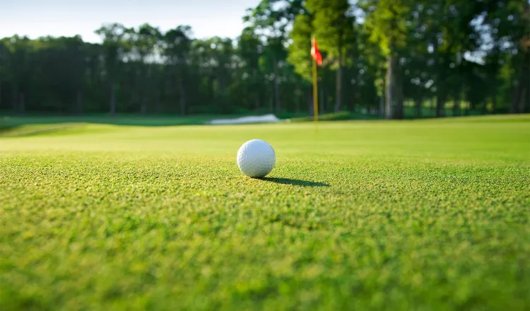 Detailaufnahme eines Golfballs auf einem besonders grünem Fairway im Golfurlaub im Rugard Thermal Strandhotel auf Rügen.