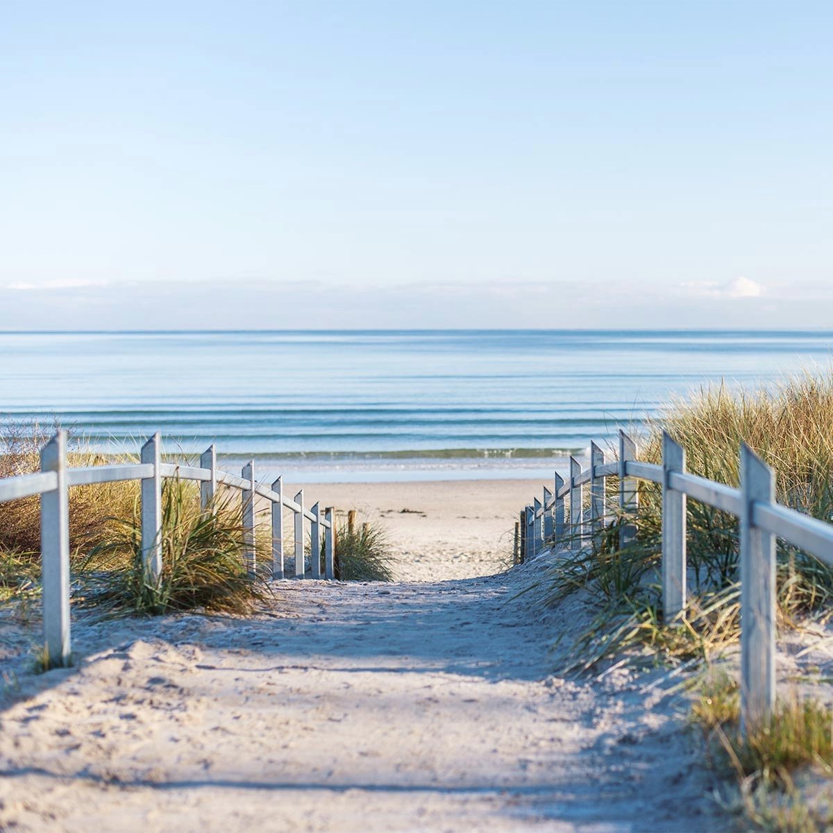 Strandweg zum Meer, gesäumt von Gräsern und einem Geländer bei einem Wellnesshotel Angebot an der Ostsee.